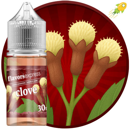 Clove Vape Juice Clove by Flavors Express (SC) Clove Vape Juice Clove by Flavors Express (SC)
