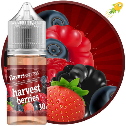 Harvest Berries by Flavors Express (SC)
